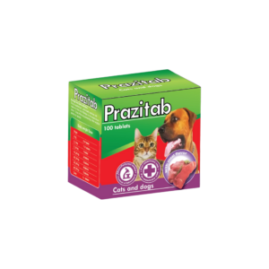 Prazitabdern - praziquantel , pyrantel pamoate