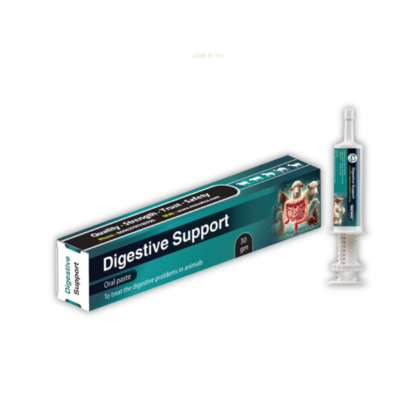 Digestive support