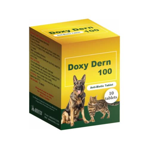 Doxy Dern 100