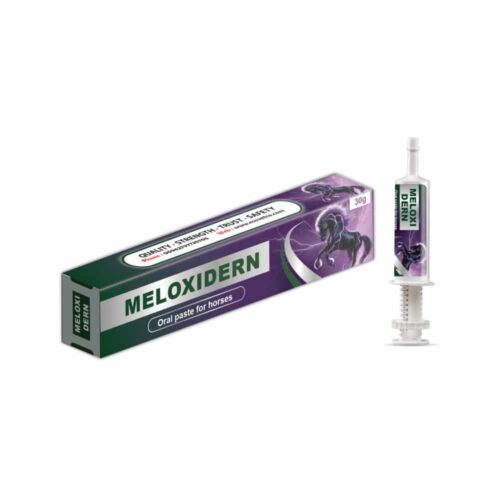 Meloxidern Paste - Meloxicam