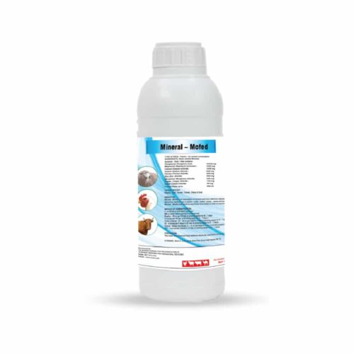 216 Mineral-Mofed - Minerals