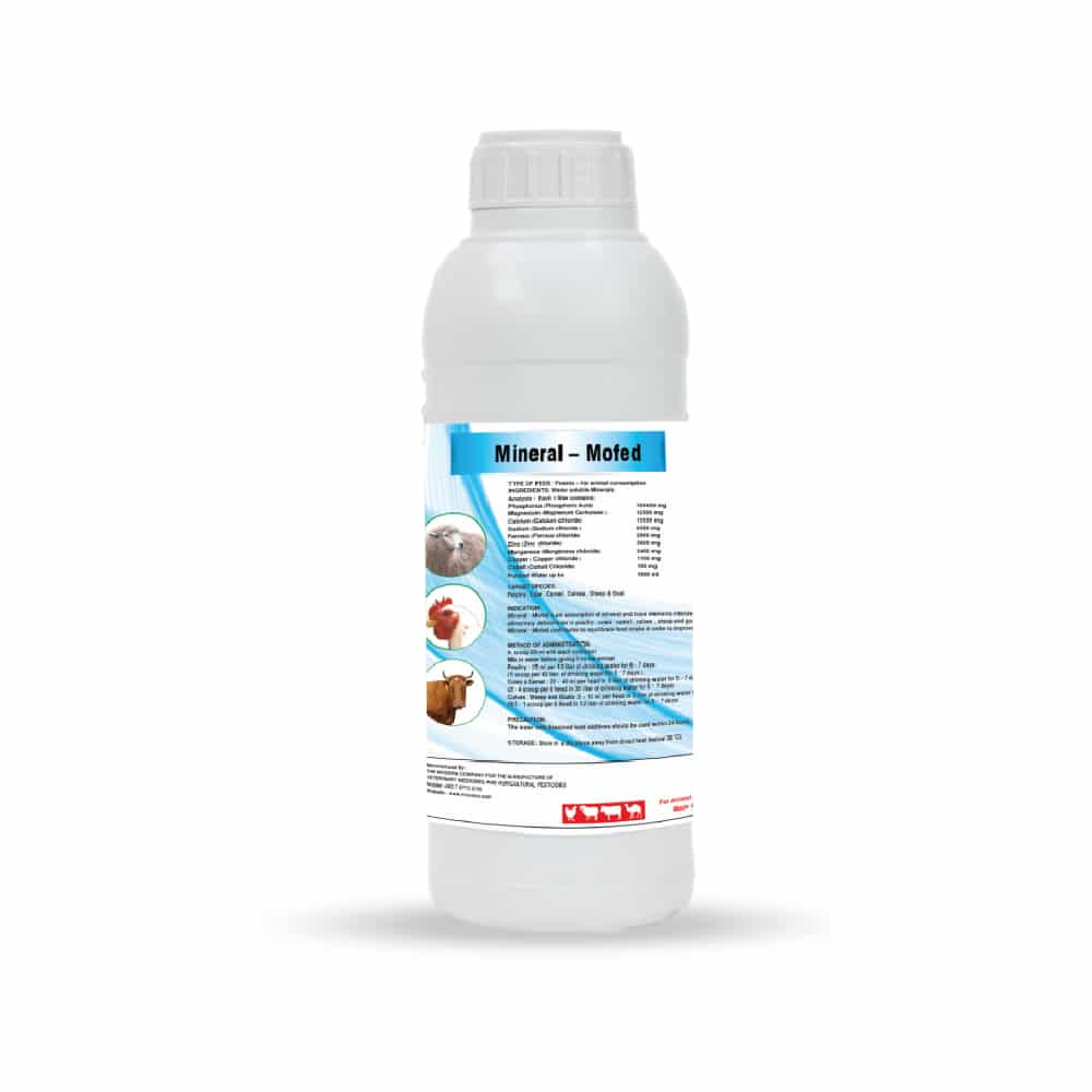 216 Mineral-Mofed - Minerals