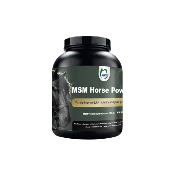 MSM Horse Powder