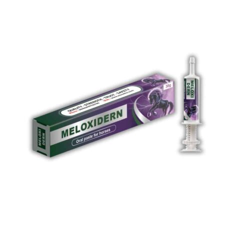 Meloxidern - Meloxicam