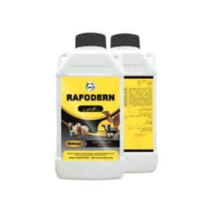 532 Rafodern